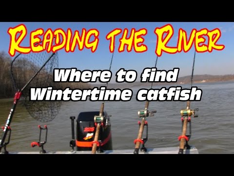Bank fishing for catfish - How to catch catfish in a river - Winter catfishing from YouTube · High Definition · Duration: 12 minutes 31 seconds · 160,000+ views · uploaded on 12/29/2016 · uploaded by Catfish and Carp Bank fishing for catfish - How to catch catfish in a river - Winter catfishing from YouTube · High Definition · Duration: 12 minutes 31 seconds · 160,000+ views · uploaded on 12/29/2016 · uploaded by Catfish and Carp