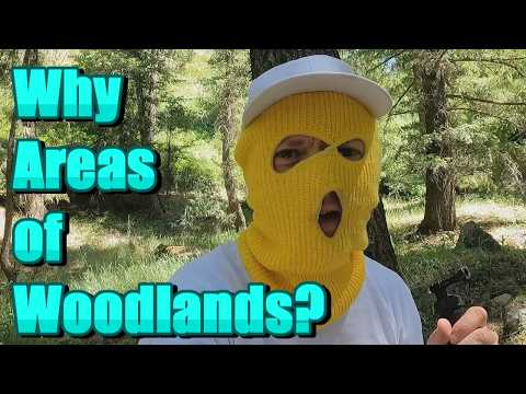 Why Do I Usually Film in Woodland Areas?
