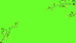 Green screen tree effect 2020