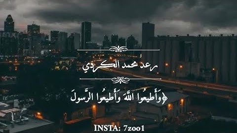 واطيعوا الله وأطيعوا الرسول * تلاوة خاشعة من القرآن الكريم * رعد محمد الكردي * حالات واتس أب دينية