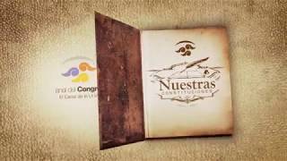 LA CONSTITUCION DE 1917
