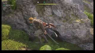 AC Black Flag Resynced: Lucy04 Big Wig