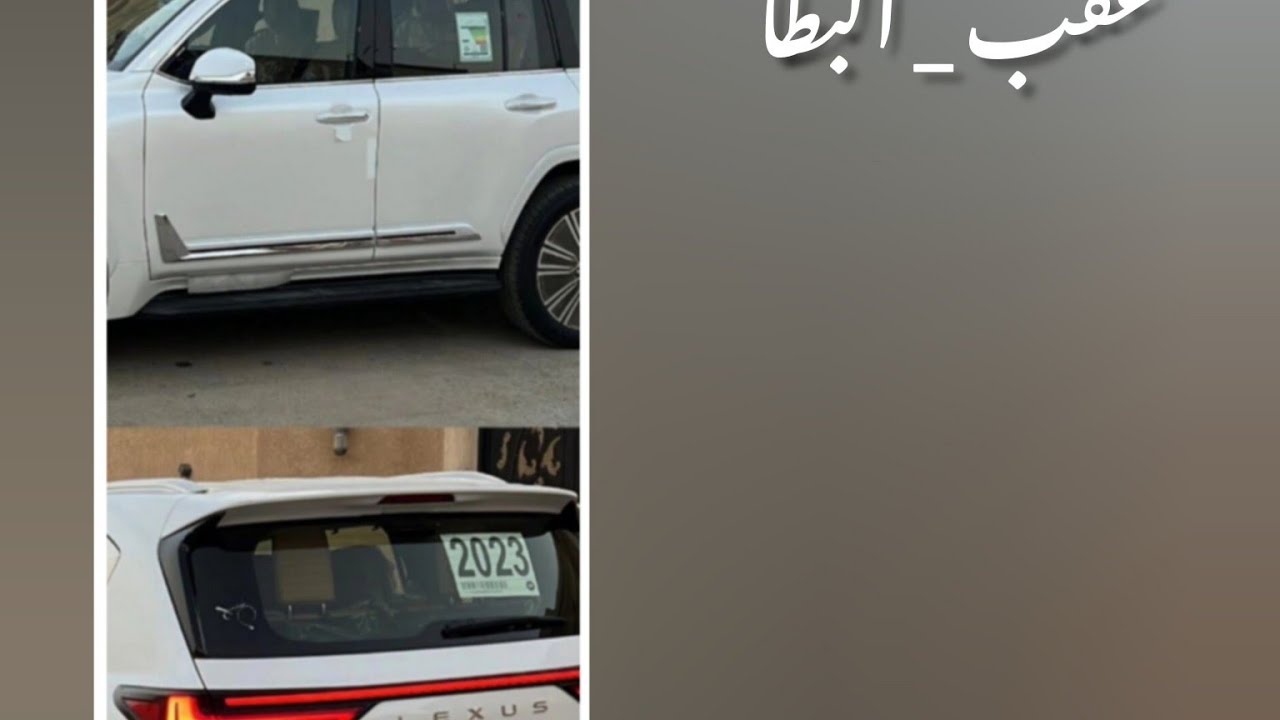 شيله | عقب _  البطا | مسرع 🎶