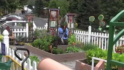 Want to make a difference? Service Learning at Binghamton