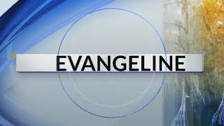 Three arrests made in Evangeline Parish drug bust