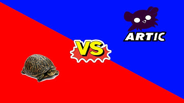 Cod Ghost 1v1 #4 (Artic VS x-Psychotic)