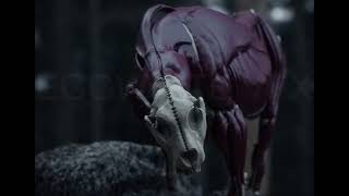 Leopard Animation , White Leopard - Made In Blender ,Geometry Nodes , Muscle System , 3D