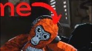 Checking Out The New Update