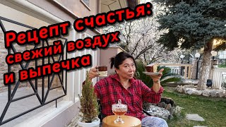видео: #2 Спокойная жизнь в Греции🇬🇷Что я делаю в деревне? картинка: #2 Спокойная жизнь в Греции🇬🇷Что я делаю в деревне?