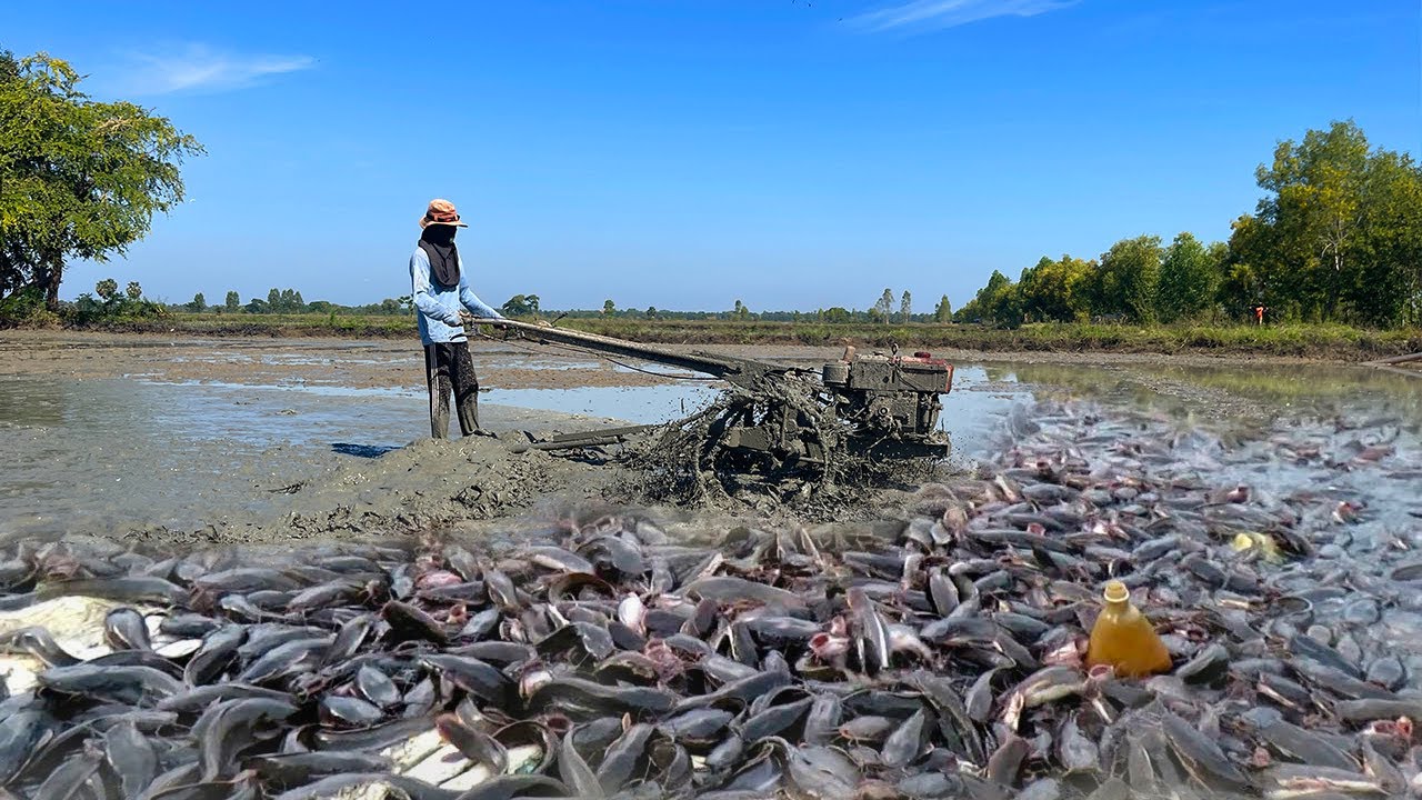 Step-by-Step Guide to Canal Catfishing Success