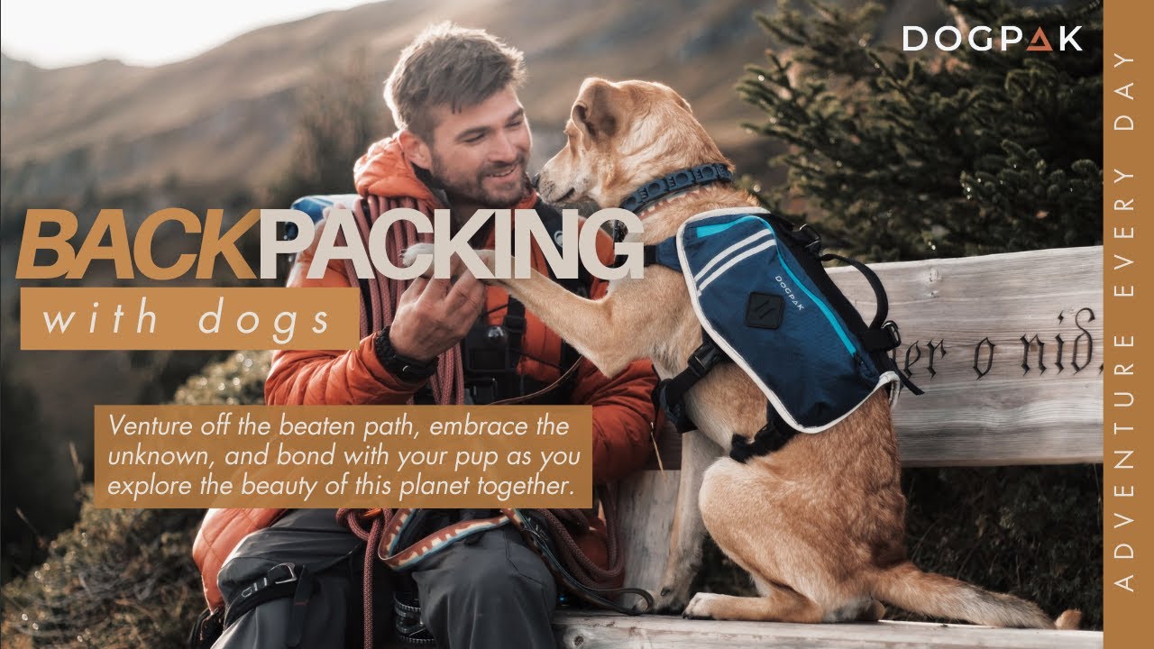 DOGPAK's Moab Lite Adventure Harness and Dog Backpack
