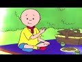 Caillou Magyar | Caillou és a Piknik | Caillou Rajzfilmek Magyarul | Rajzfilmek gyerekeknek