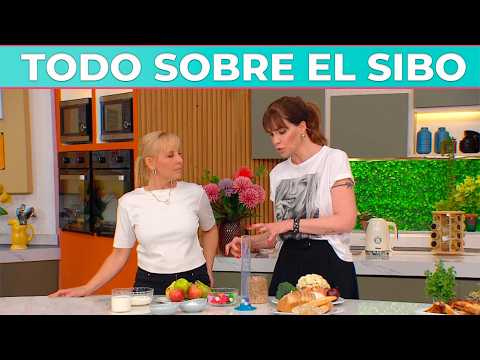 Importantísimo: cómo detectar el SIBO y qué comer una vez diagnosticado