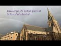 De Tjiftjaf at St Mary's Cathedral