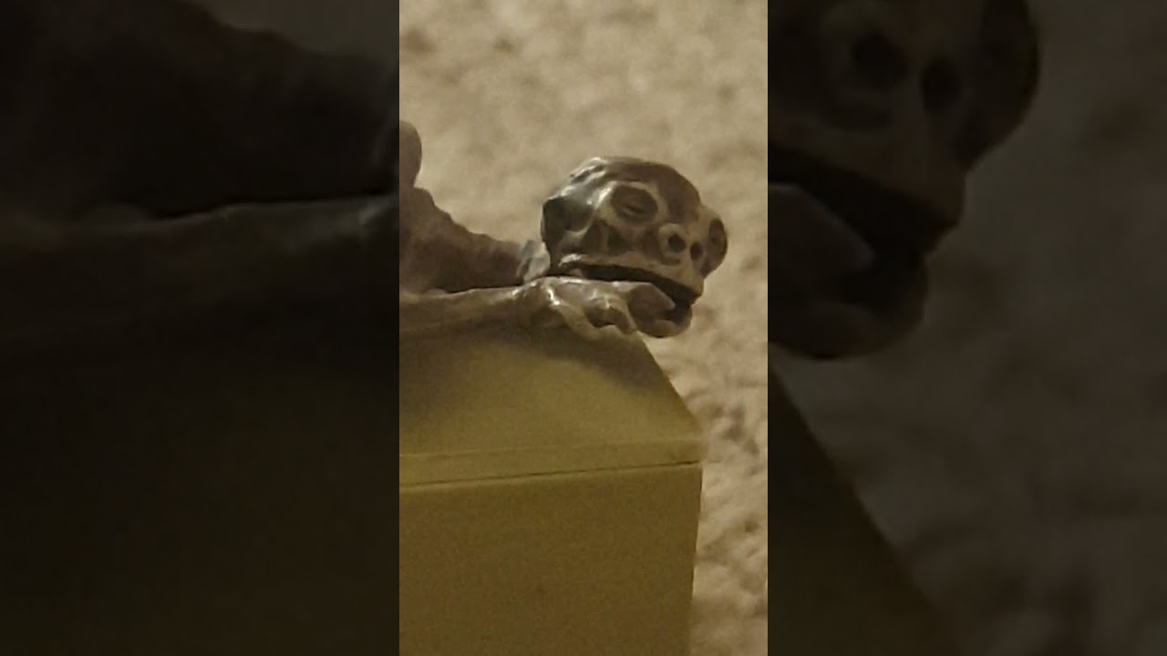 kappa mummy found