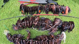 SKEEPRONG ACTION! Lobster Catch & Cook, Pig hunting & 1 Minute with God! 