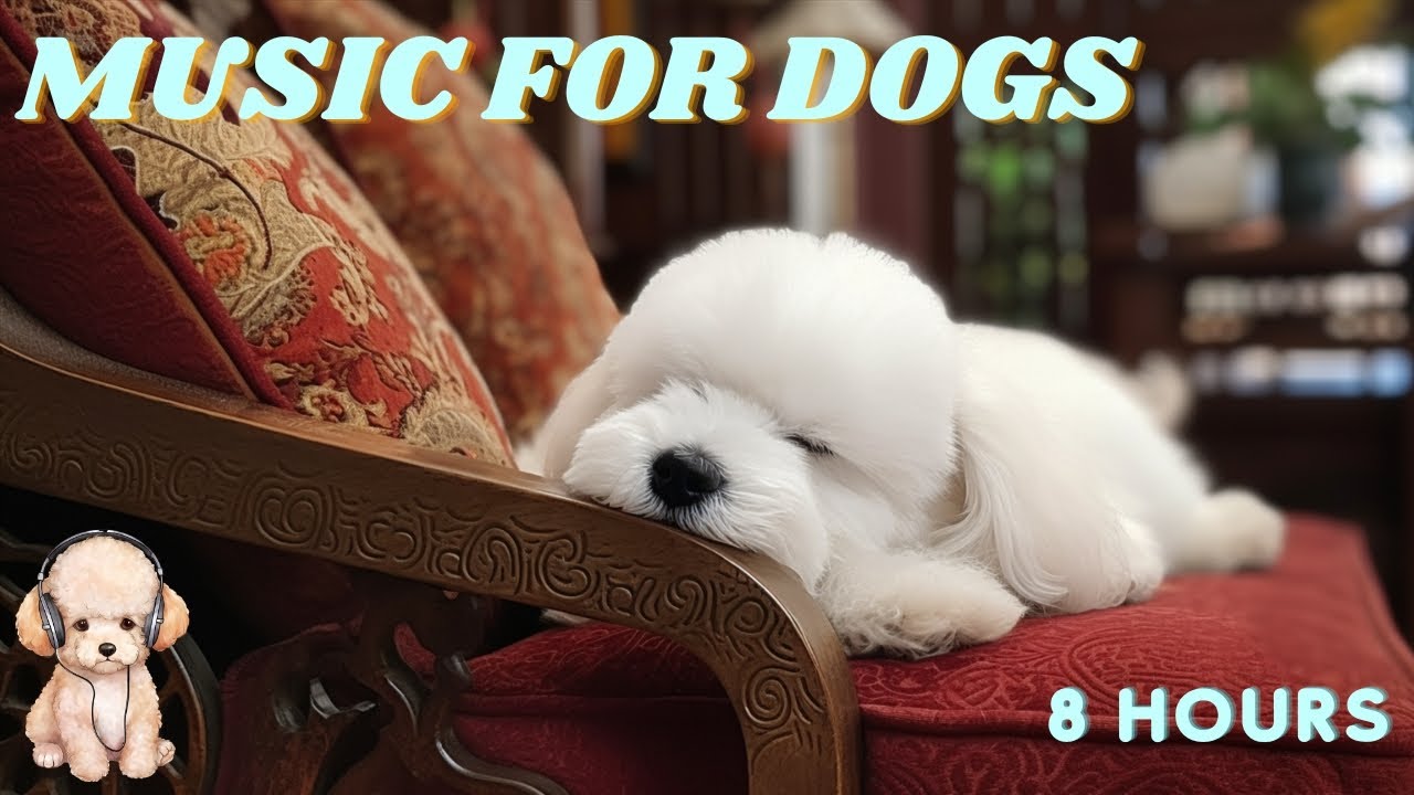 Music For Dogs Relaxation Therapy 8 HOURS of The Best AntiAnxiety