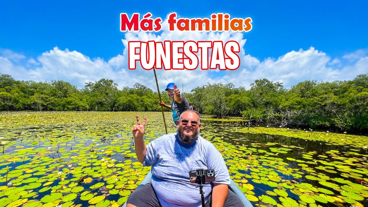 Don José llevo a mis hijos al MANGLAR 😖