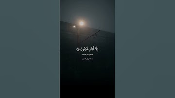 Surah Az Zukhruf 68 70    سورة الزخرف ٦٨ ٧٠#reels #quran #المنشاوي