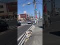 #日本 #警察官 #police やはりプリウス
