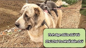 Idol Dúi - Nguyễn Văn Dúi - Dúi Và Tun