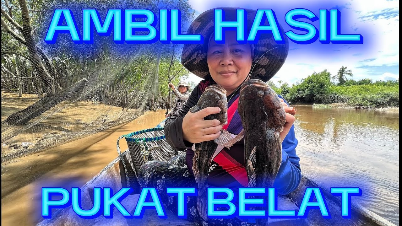 MENGAMBIL HASIL PUKAT BELAT SUNGAI SEBUYAU// HASIL LUMAYAN