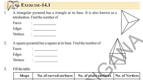 Class 6 | Maths | Chapter -14: Understanding 3D And 2D Shapes | Exercise -14.1 Solutions | TS SSC |