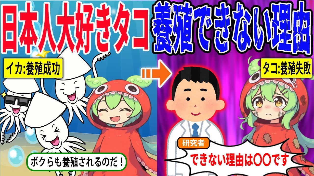 日本人大好きタコ養殖できない理由とは？【ずんだもん＆ゆっくり解説】