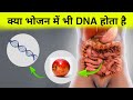 क्या भोजन में भी डीएनए होता है - Nucleic acid metabolism in hindi