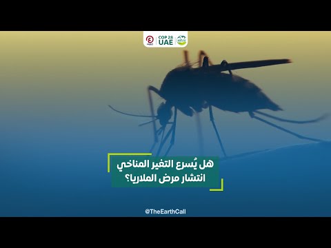 هل يُسرع التغير المناخي انتشار مرض الملاريا؟