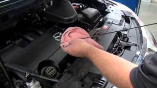 Maita Mazda Service Tip-Checking Your Oil Level