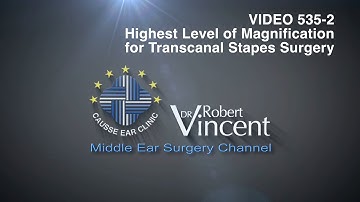 High Level of Magnification for Microscopic Stapes Surgery. Detailed Visualization of ME Structures