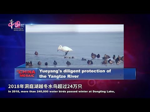 Yueyang's diligent protection of the Yangtze River