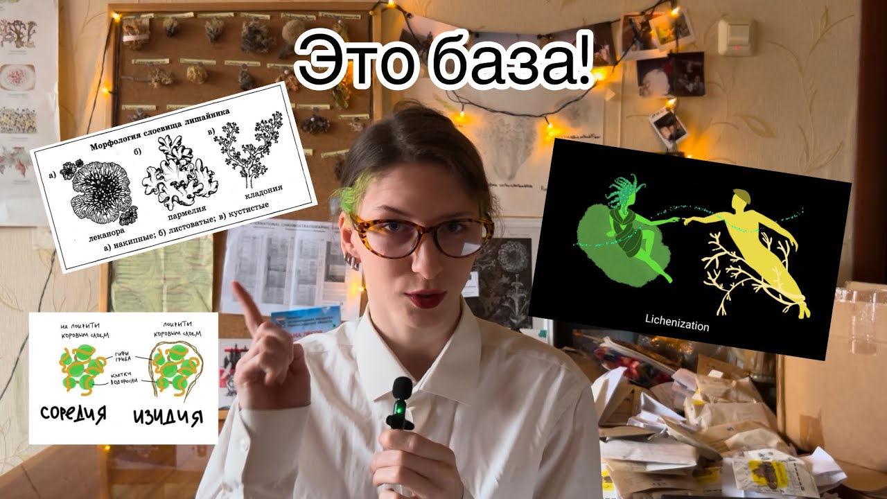 Лихенология на минималках