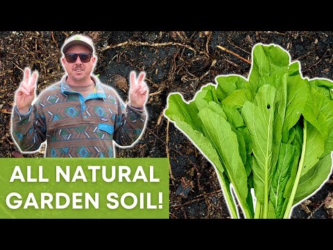 The "NATURAL" Way to Improve Your Garden Soil! - YouTube
