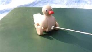 Quaddle the Duck.AVI