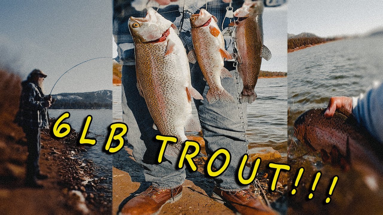 6lb TROUT!!! Big Bear Lake The bite is turning on! YouTube