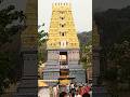 Ni stress ki release avali antey.. eh pani cheyu.. Temple ki vellu🦋✨#najourney #simhachalam#temples