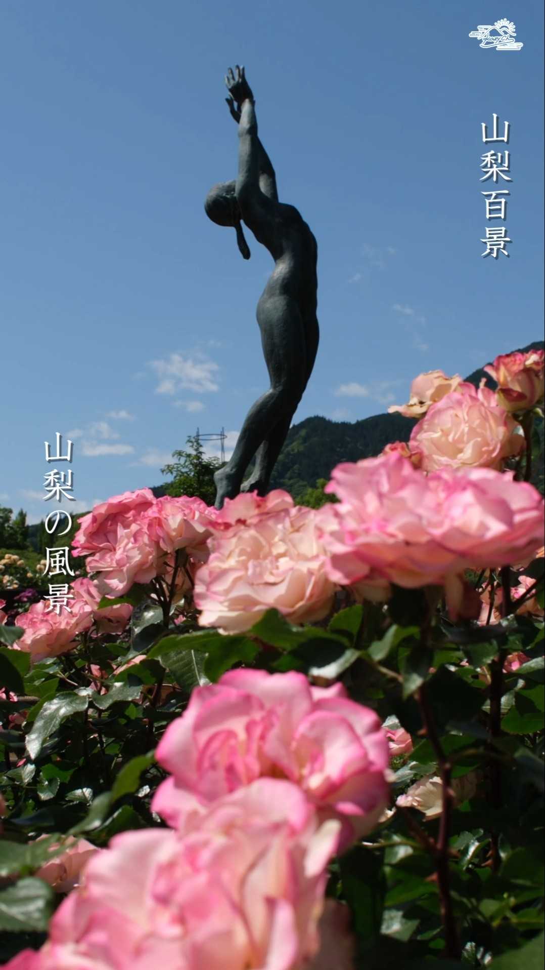 圧巻のバラ】①心洗われる休日🌹富士川クラフトパークのバラ園に癒や