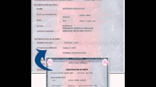 Miramar Professional Translation Services Miramar Professional Translation Services