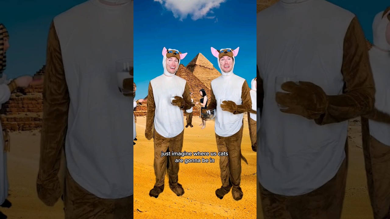 ⁣Ancient Egyptian Cats 🐱 #comedy #cat #shorts