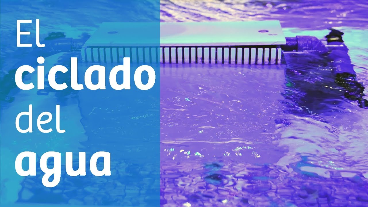 Ciclado del agua · Guía para ciclar tu acuario 🌀 - YouTube