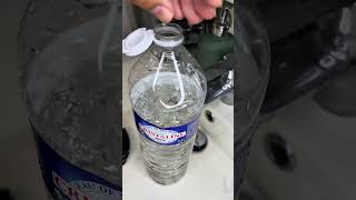 Tips and techniques to keep birds away