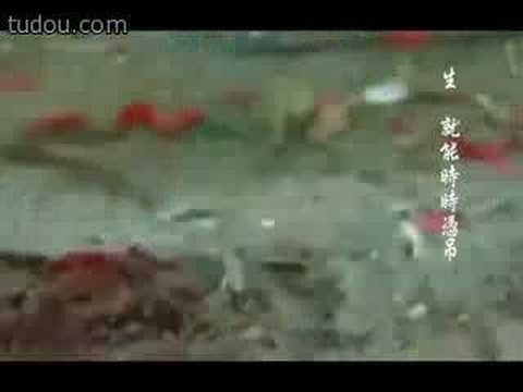 霹雳布袋戏（合集）非专业配音
