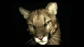 Boss Up Pt2 Slowed And Reverb Prod. Salako