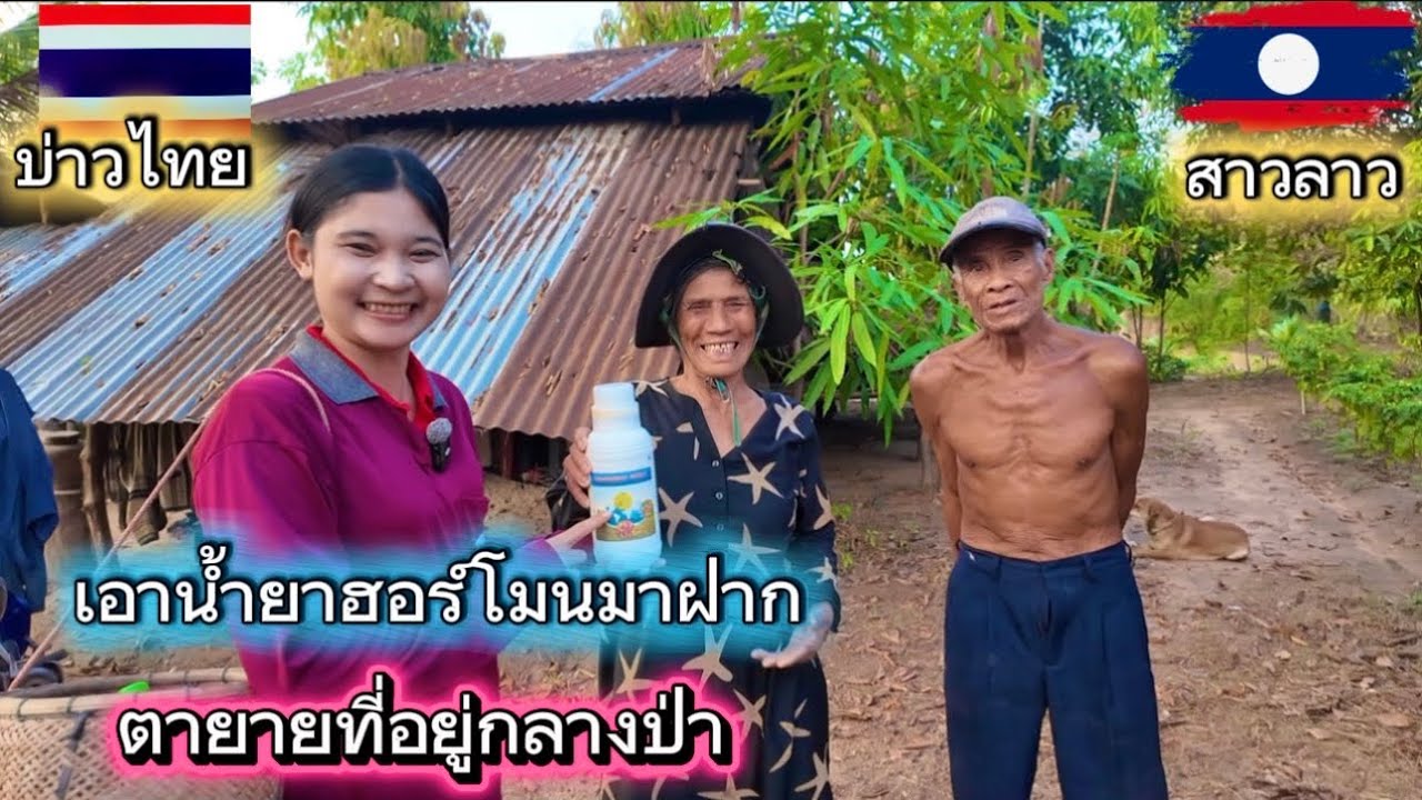 วันนี้เอาน้ำยาฮอร์โมนมาฝากคุณตาคุณยายที่อยู่กลางป่า