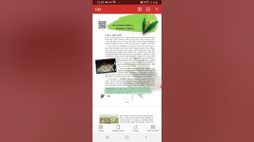 Chapter 19 A seed tells a farmers story part2