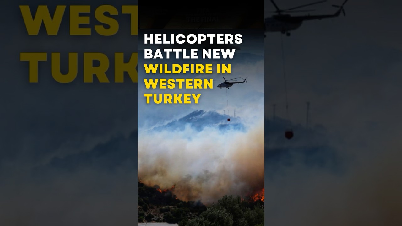 Planes and Helicopters Battle New Wildfire in Western Turkey | Factual Flow