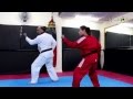Taekwondo poomse 9 koryo   9   