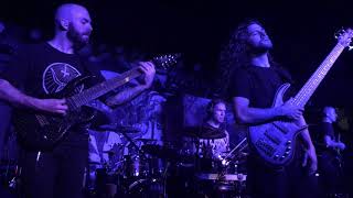 Archspire - Human Murmuration (Live in Brooklyn)